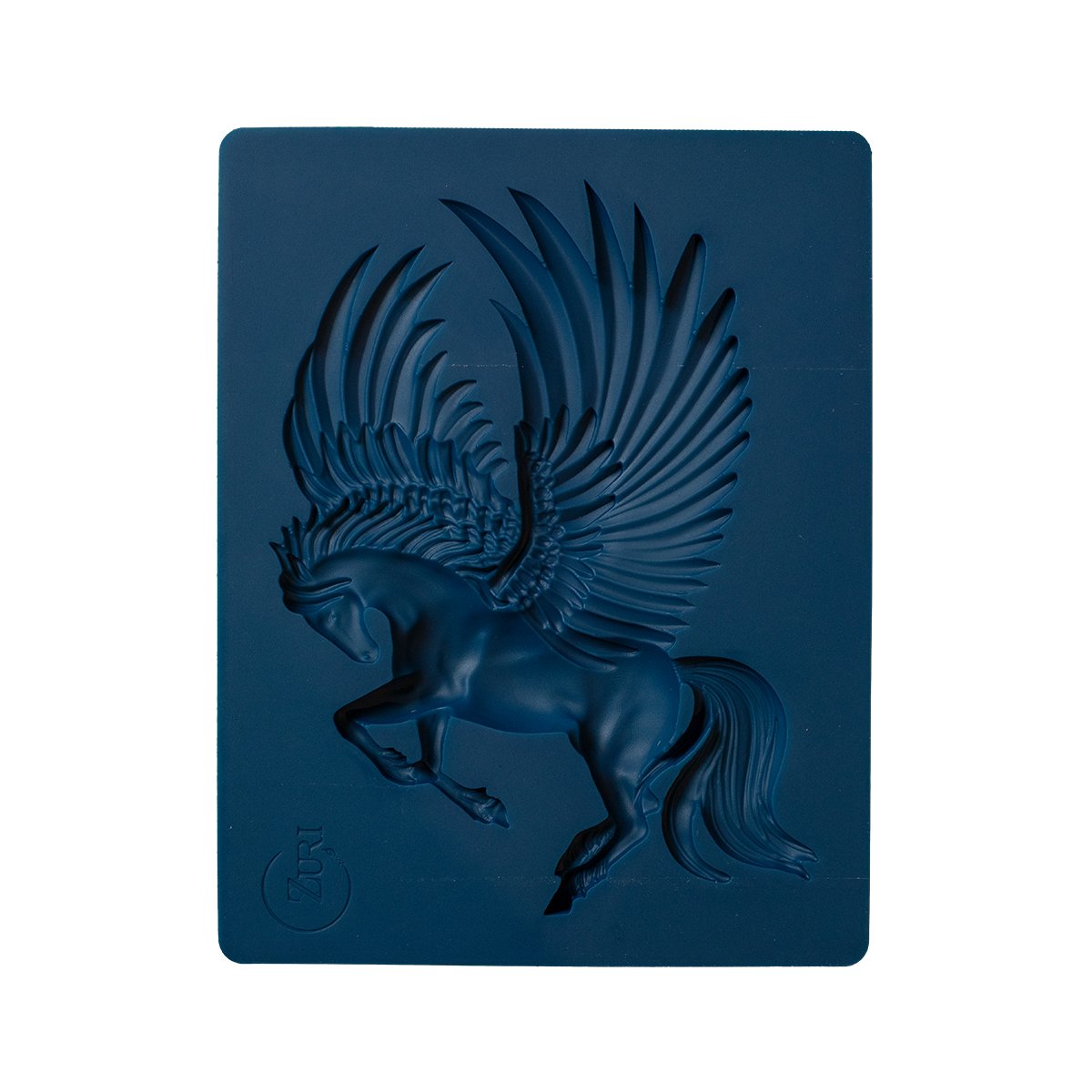 Pegasus Flight image 1
