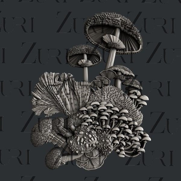Mushroom Bloom 2 image 0