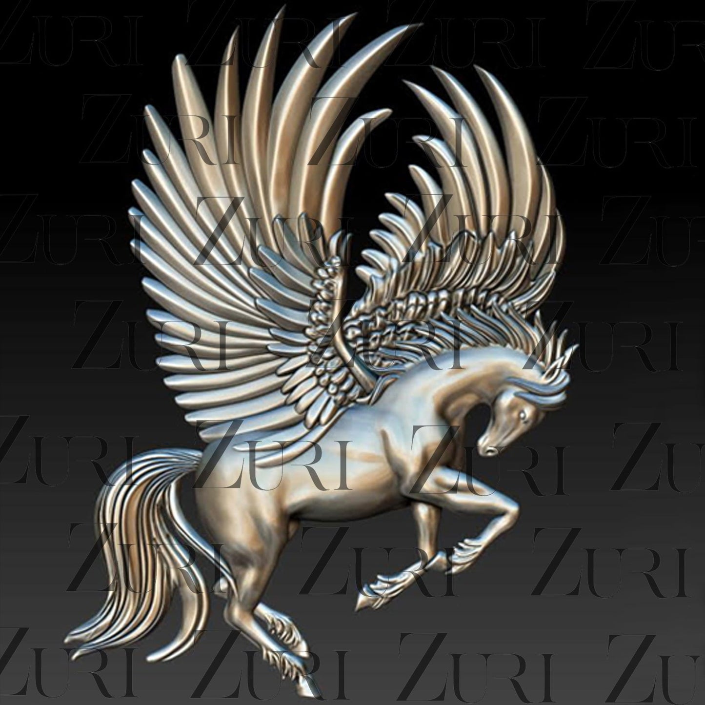 Pegasus Flight image 0