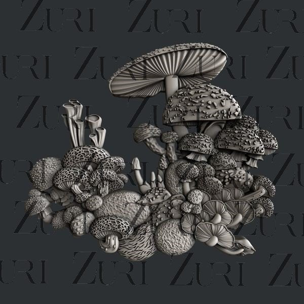Mushroom Bloom 5 image 0